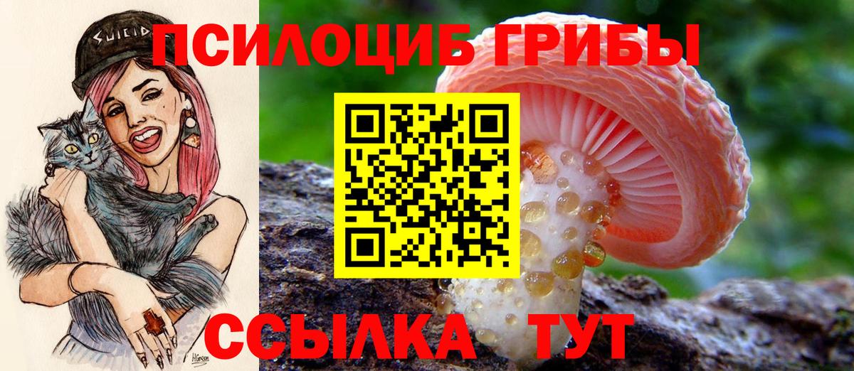 Галлюциногенные грибы Psilocybe  Галлюциногенные грибы Psilocybe  Фролово  Вход с VPN 