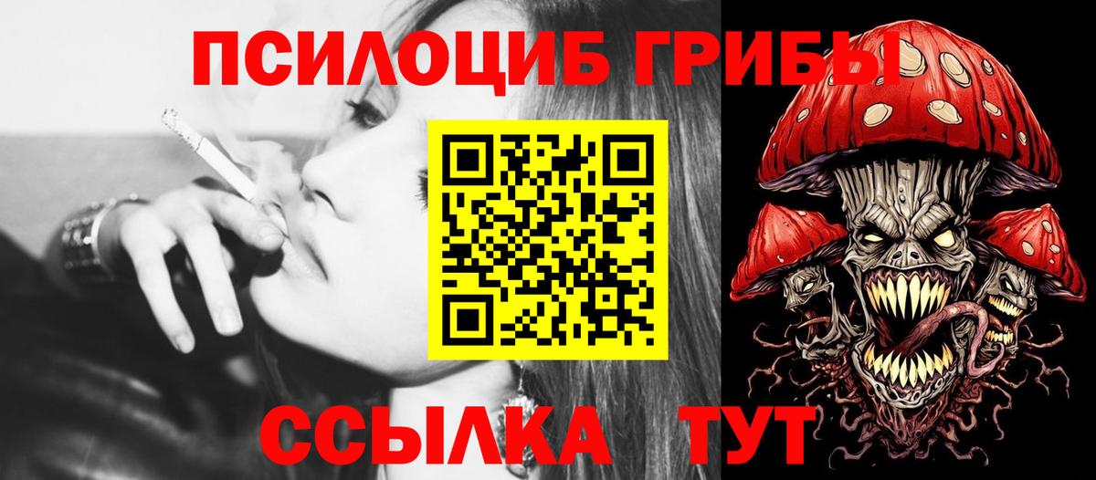 Галлюциногенные грибы Psilocybine cubensis Фролово